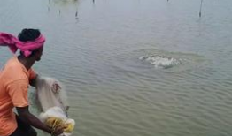 钓鱼的视频,跟随镜头探寻钓鱼的乐趣与技巧