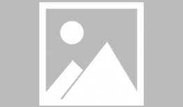 在线黄色视频免费看,暗藏的风险与警示